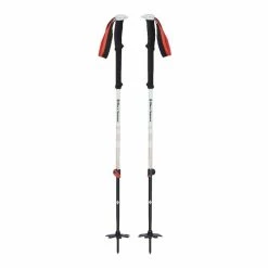 Le moins cher ✔️ Black Diamond Expedition 2 Ski Poles - Bâtons ski ????